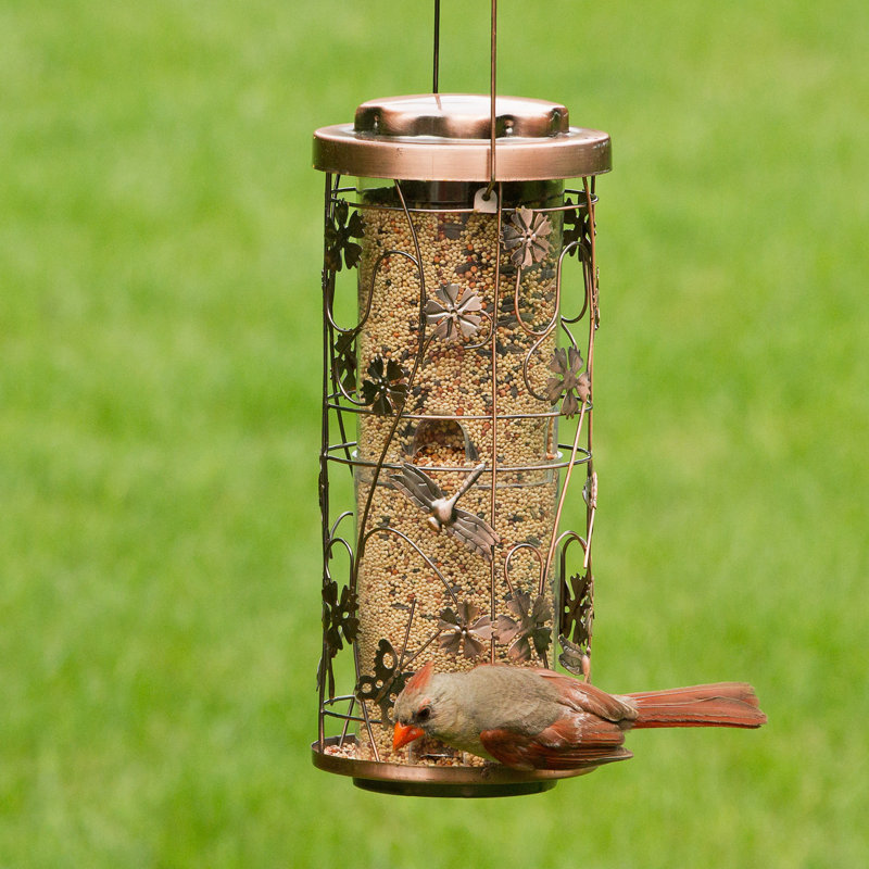 August Grove® Calandra Meadow Caged Tube Bird Feeder & Reviews Wayfair